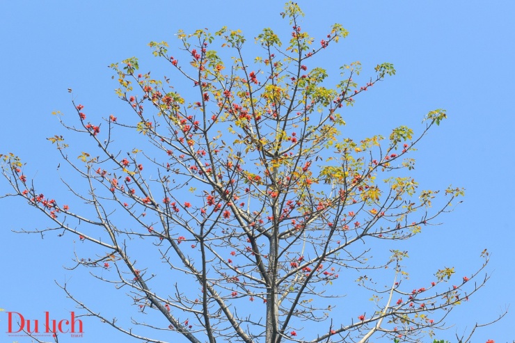 Bản hòa ca núi rừng rực rỡ sắc màu Sơn Tây Thượng - 7