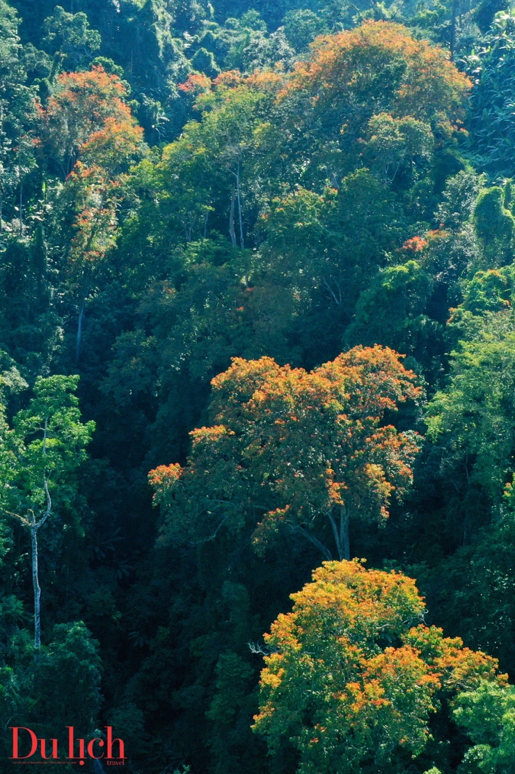 Bản hòa ca núi rừng rực rỡ sắc màu Sơn Tây Thượng - 9