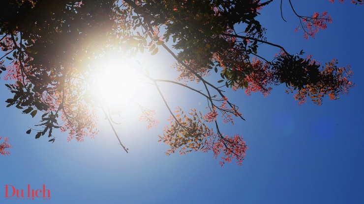 Bản hòa ca núi rừng rực rỡ sắc màu Sơn Tây Thượng - 11