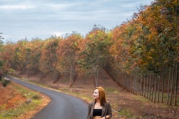 Rừng cao su mùa thay lá đẹp mê mẩn ở Tây Nguyên