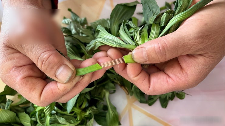 Loại rau này đang vào mùa, ngon hơn cải bó xôi, nhiều người coi như cỏ dại, xào trứng ngon cực phẩm - 2