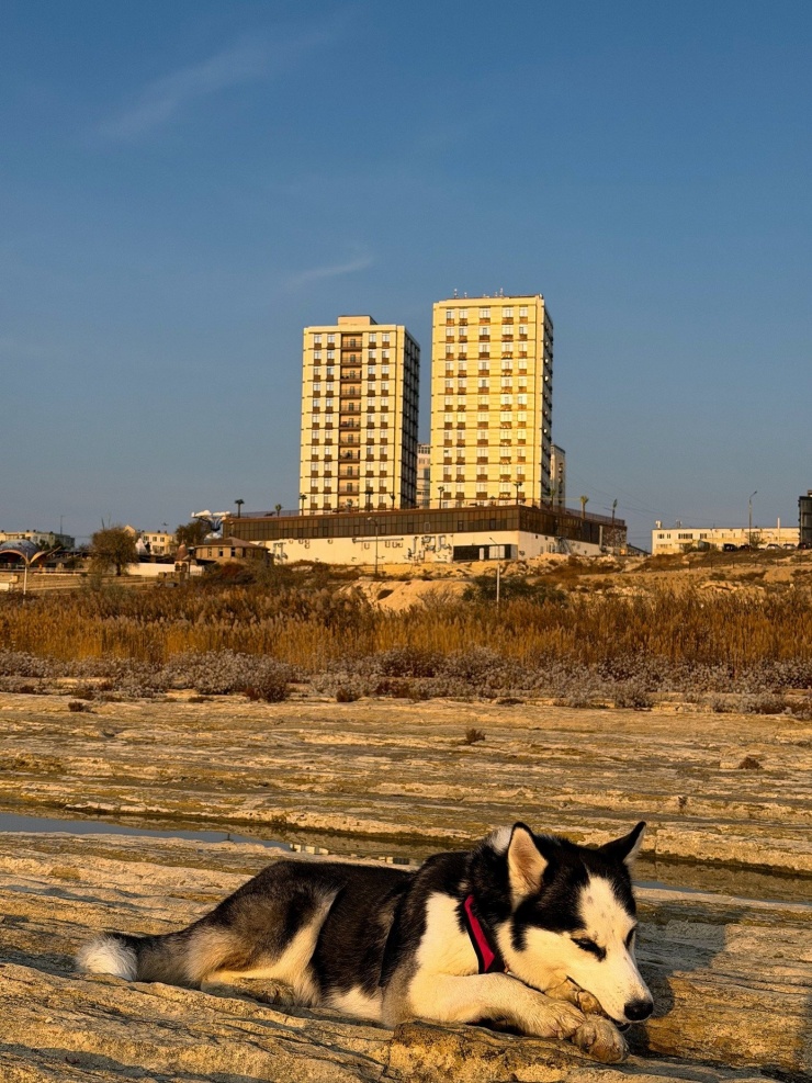 Cặp đôi đi bộ từ Anh sang Việt Nam: Hành trình 14.000 km diệu kỳ và ý nghĩa 5 Cặp đôi đi bộ từ Anh sang Việt Nam: Hành trình 14.000 km diệu kỳ và ý nghĩa - 4