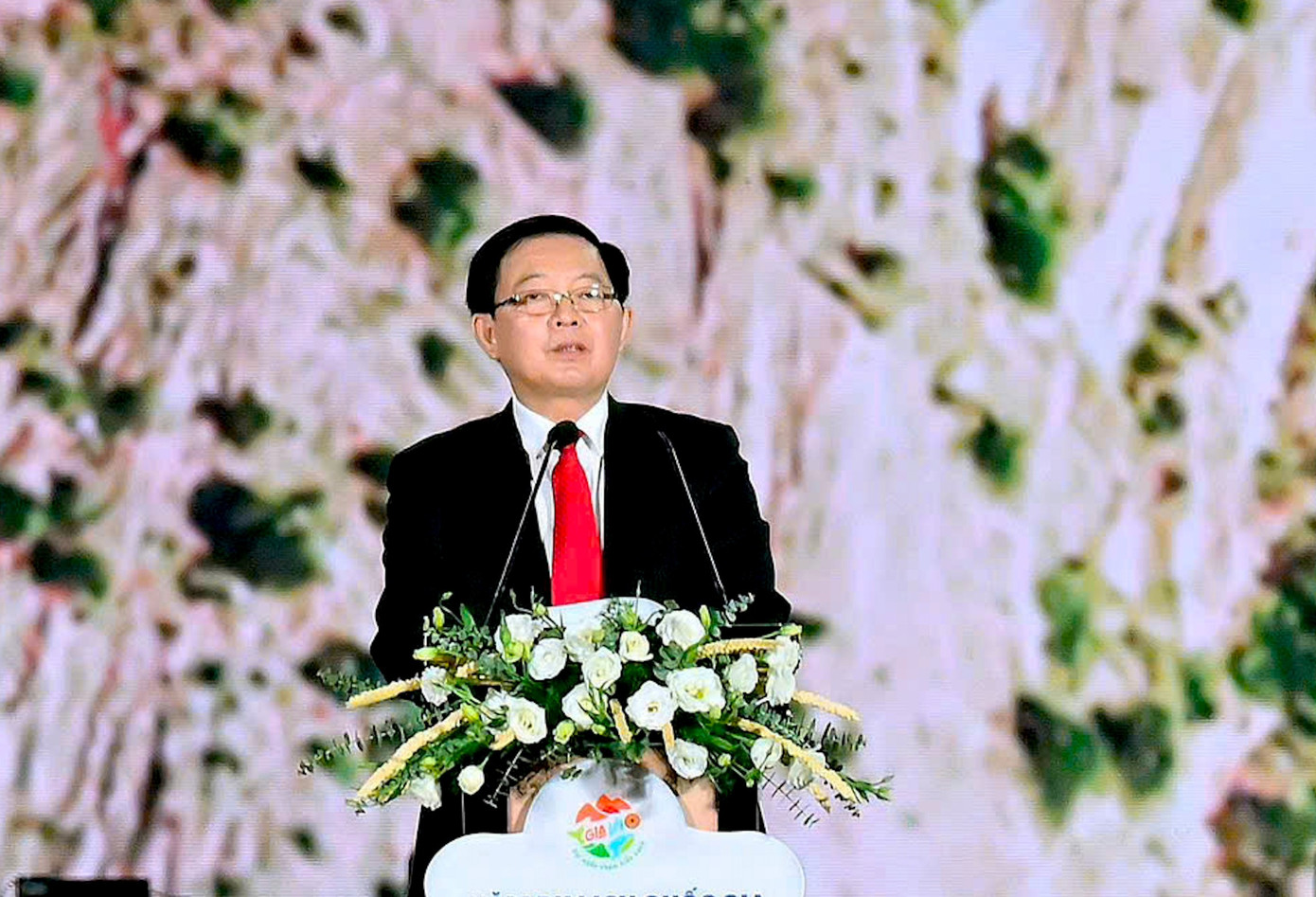 'Biển người' xem khai mạc năm du lịch quốc gia- Ảnh 2.