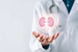 Cải thiện chức năng thận sau 3 tháng nhờ bỏ 2 món ăn sáng 'tưởng là bổ'