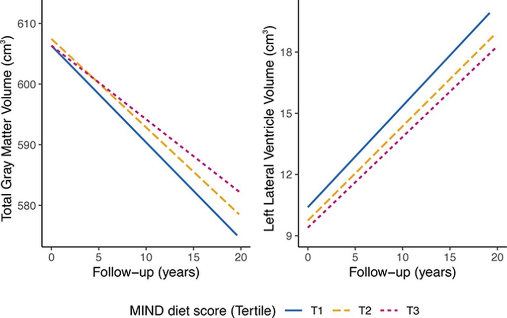 Chế độ ăn độc đáo có thể làm chậm quá trình lão hóa não bộ hơn 2 năm - 3