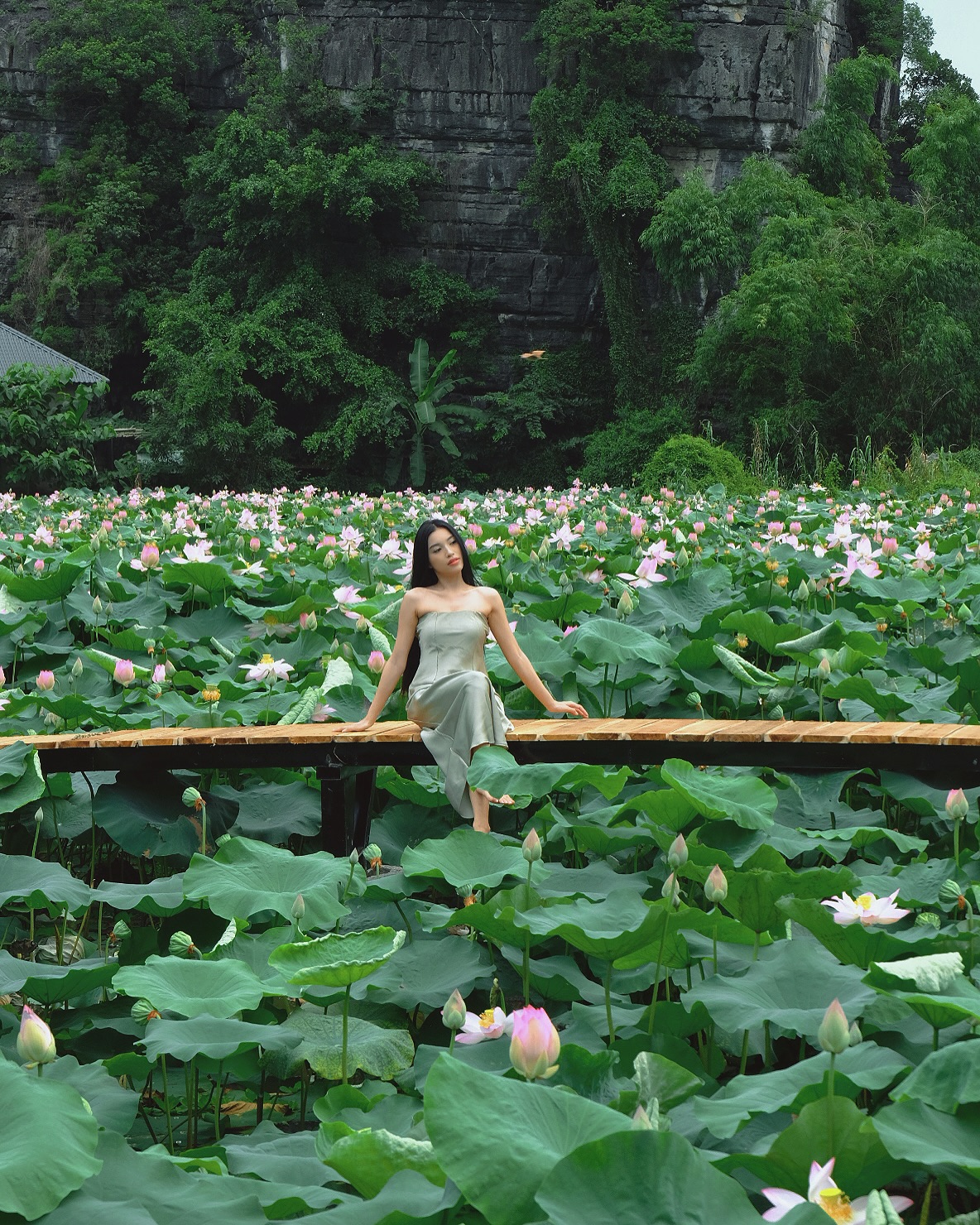 Từ 1/4, hàng triệu khách Việt chính thức áp dụng phí tham quan mới tại điểm du lịch đắt khách bậc nhất miền Bắc- Ảnh 2.