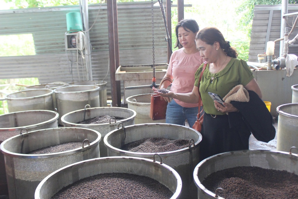 Nông sản Việt đối mặt rủi ro khi EU siết dư lượng thuốc bảo vệ thực vật - 3