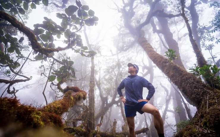 Sức hút của rừng rêu Ngọc Chiến không chỉ nằm ở cảnh quan, mà còn ở hành trình chinh phục đi kèm. Từ bản Nậm Nghẹp, du khách có thể lựa chọn cung đường qua bốn đỉnh núi nổi tiếng ở Tây Bắc: Tà Rông, Tà Tao, Háu Nả Tà, Tà Dê Đơ.