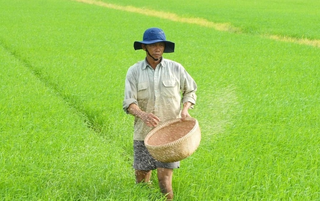 Doanh nghiệp, hiệp hội chung tay giữ nhịp sản xuất nông nghiệp - 3