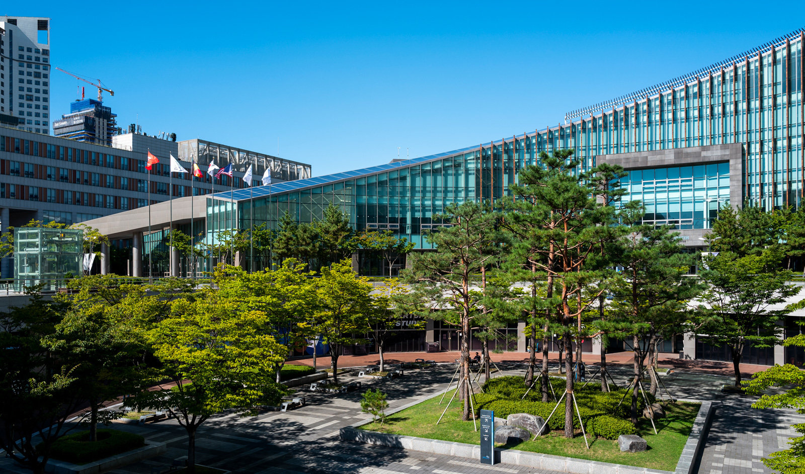 đại học - Ảnh 3.