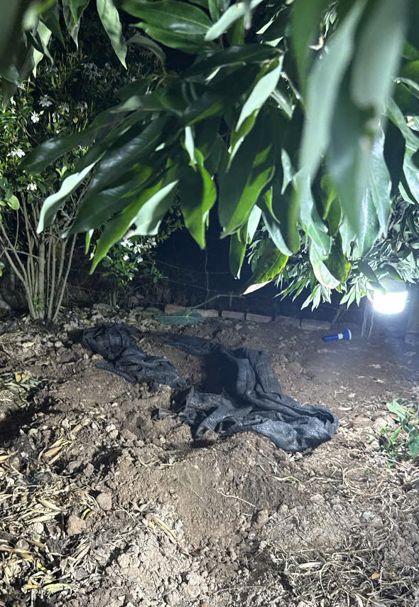 Nghi phạm sát hại cụ bà 87 tuổi, phi tang thi thể tại vườn chuối, dương tính với ma túy - Ảnh 3.