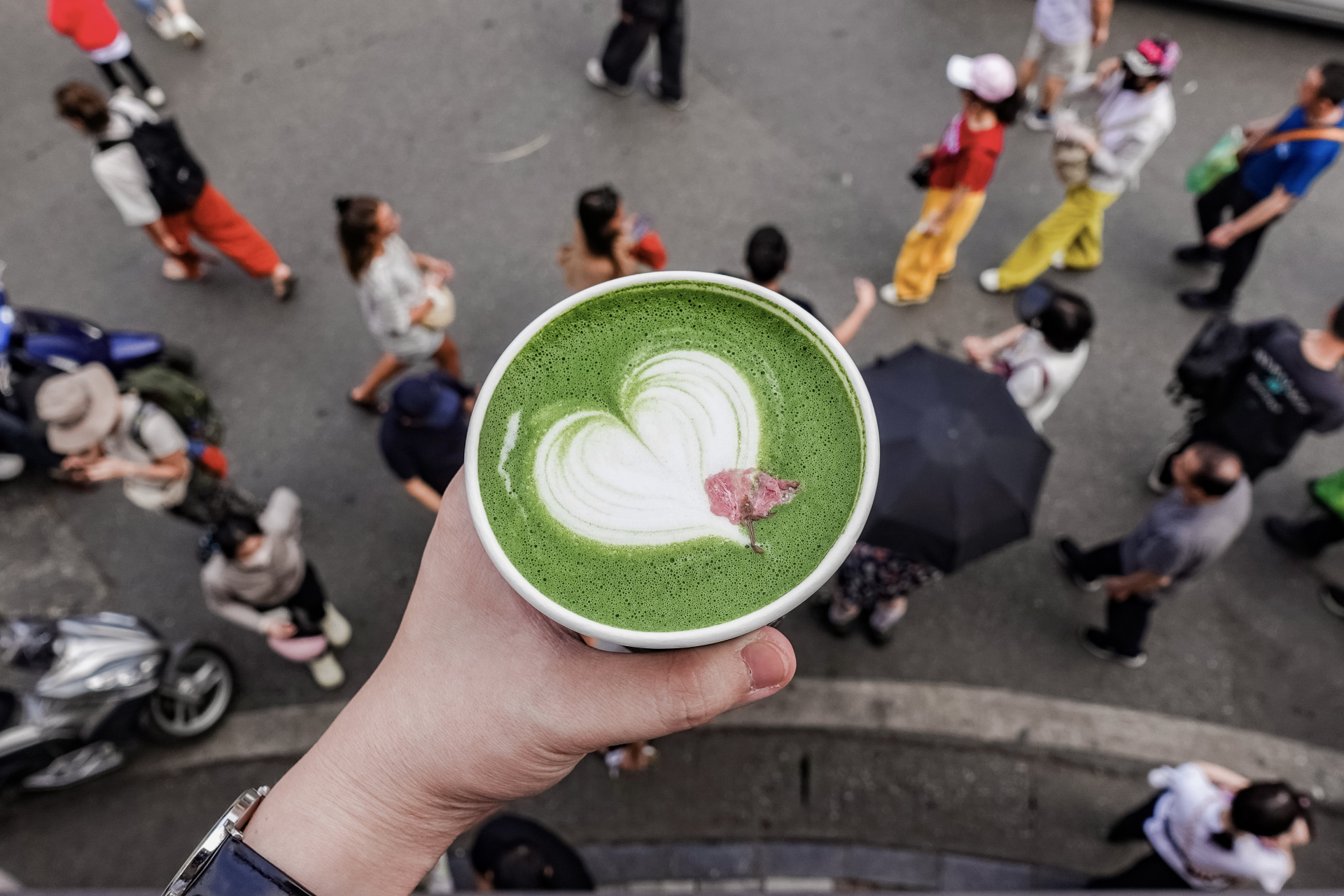 Hàng matcha đắt nhất nhì Việt Nam cân từng viên đá khi pha chế, tháng nào cũng có chuyên gia về kiểm tra- Ảnh 8.