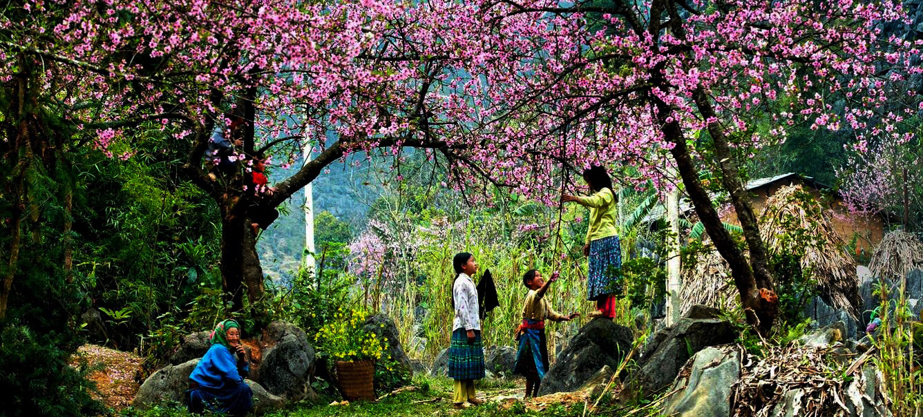 Không phải Bali hay Chiang Mai, báo Tây gọi tên một nơi ở Việt Nam là điểm chữa lành đáng ghé nhất 2026- Ảnh 3. Không phải Bali hay Chiang Mai, báo Tây gọi tên một nơi ở Việt Nam là điểm chữa lành đáng ghé nhất 2026- Ảnh 3.