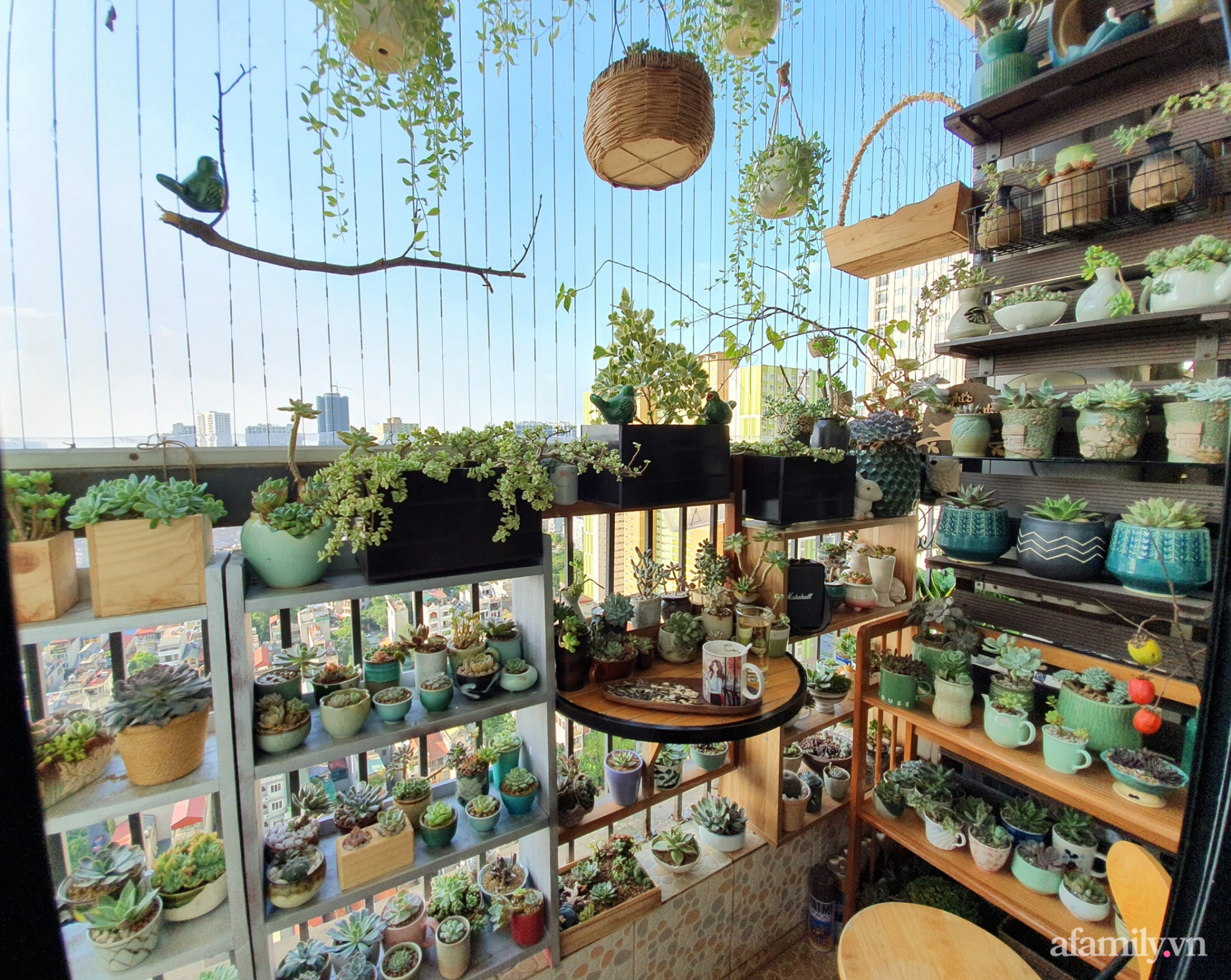 5 loại cây “chân ái” cho ban công: đẹp, dễ trồng, phong thuỷ cực tốt- Ảnh 4.
