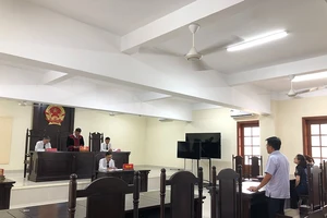 Thí điểm luật sư công: Bước đi cần thiết để tăng cường bảo vệ lợi ích công