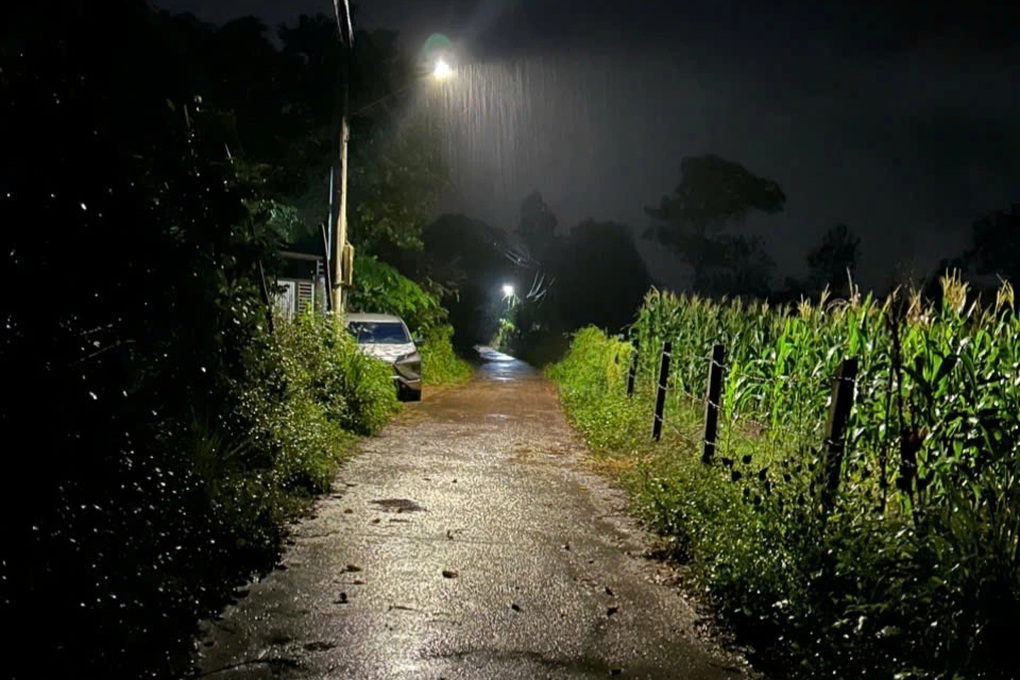 Xét xử nam sinh 16 tuổi trong vụ án giết người bằng nửa viên gạch - 2