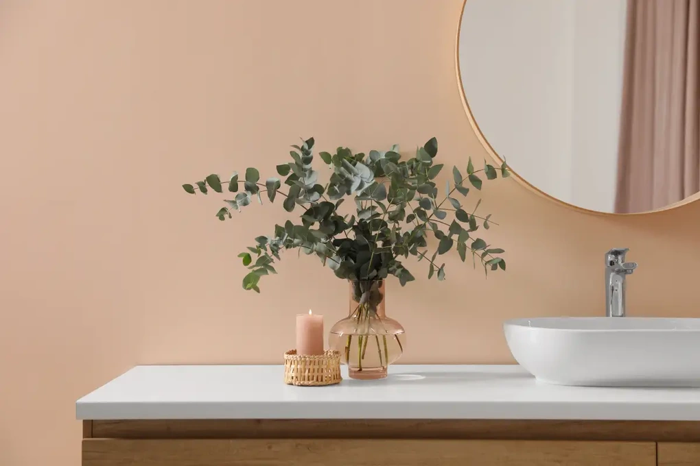 4 mẹo tự nhiên giúp nhà tắm luôn sạch mùi, dễ chịu - 1