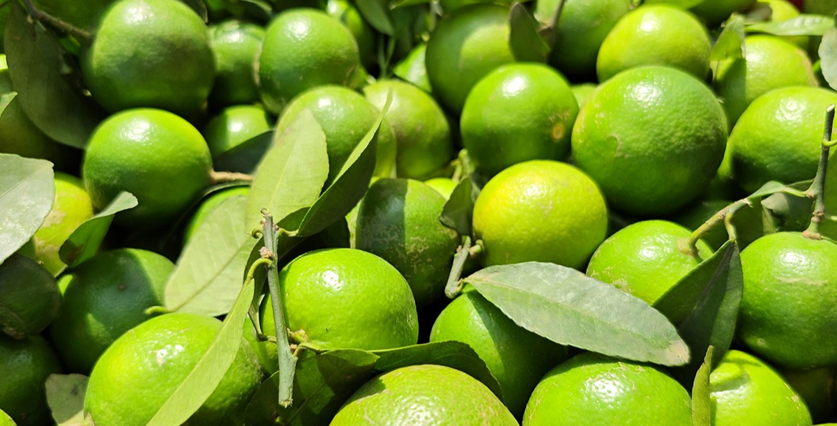 Nghe tên loại quả này thấy cả 