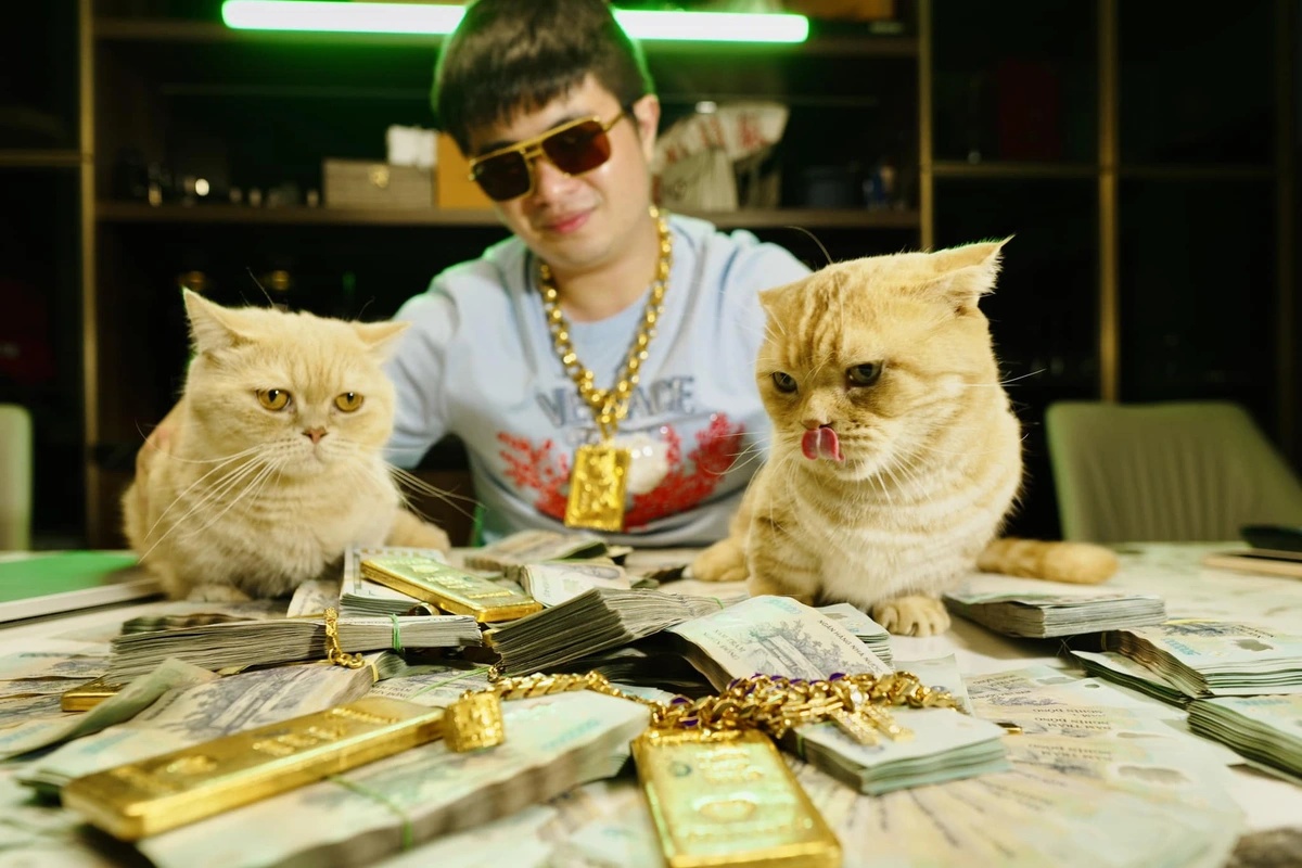 Cận cảnh khối tài sản gây choáng của Mr Pips: 41 ô tô hạng sang, 45 sổ đỏ, hơn 1.000 miếng vàng,... bị kê biên- Ảnh 1.