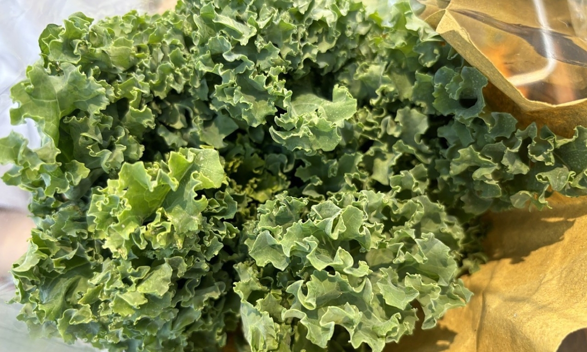 5 cach bao ve thi luc