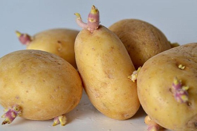 6 món ăn sinh hóa chất tàn phá cơ thể, dù rửa sạch hay đun sôi 100 độ C cũng vô tác dụng- Ảnh 2.