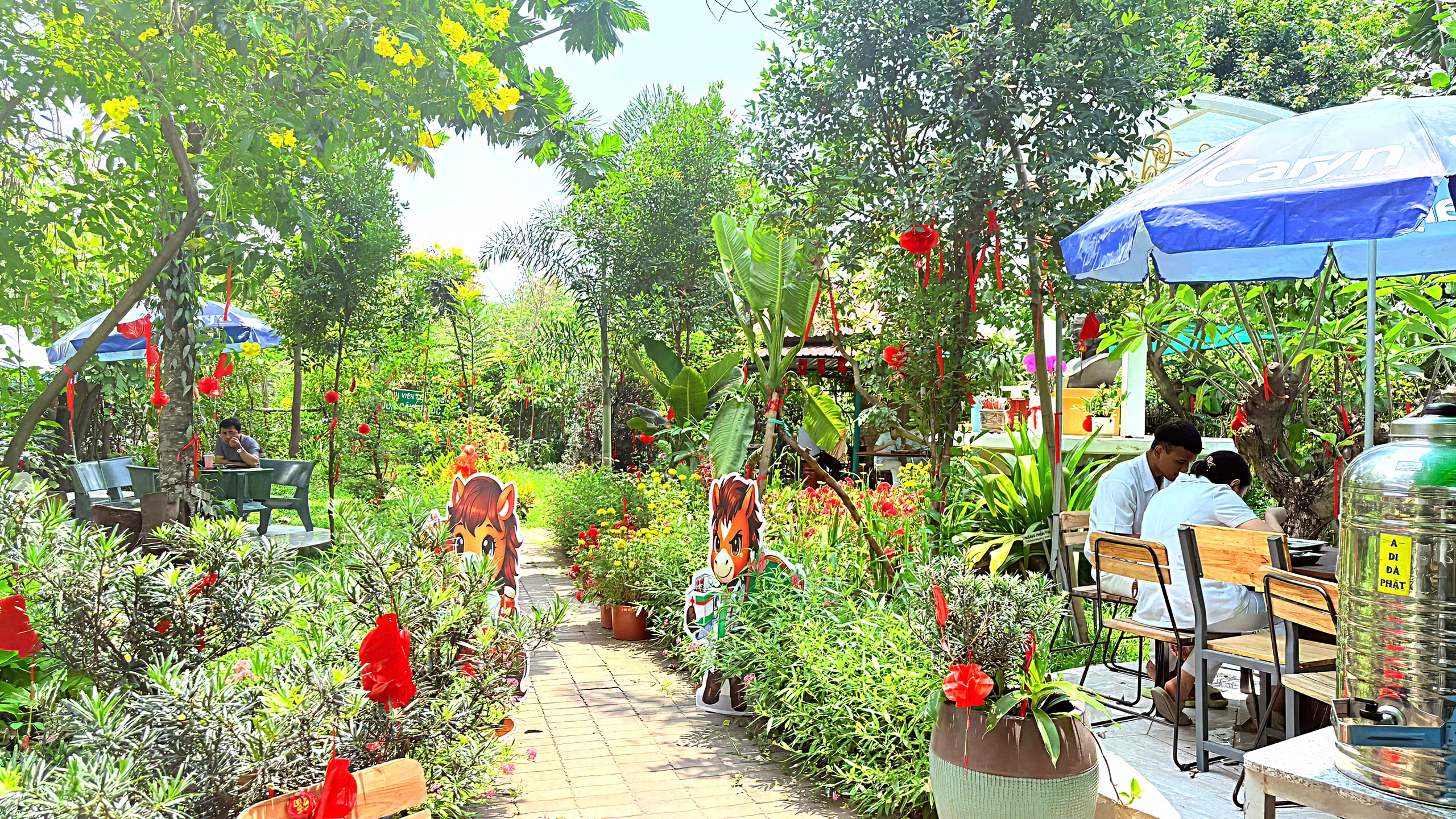 cơm miễn phí - Ảnh 1.