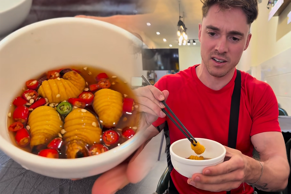 Ăn đuông dừa sống lúc nhúc, chàng trai Đức nhận cái kết bất ngờ - 2