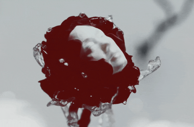 Ảnh nóng của Minh Hằng - Tóc Tiên- Ảnh 3.