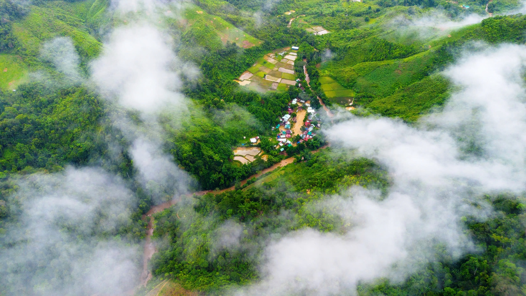 Aur bừng sáng giữa đại ngàn- Ảnh 1.