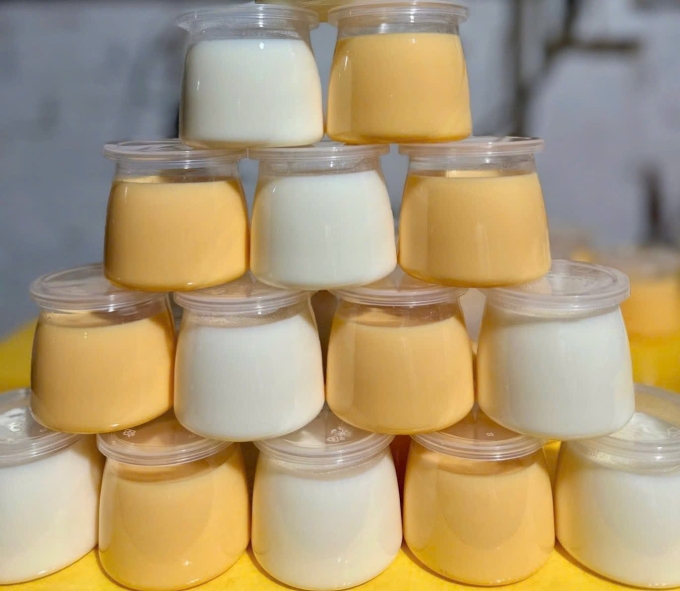 Sữa chua chứa nhiều lợi khuẩn giúp khôi phục và cân bằng hệ vi sinh đường ruột. Ảnh: Thảo Nhi