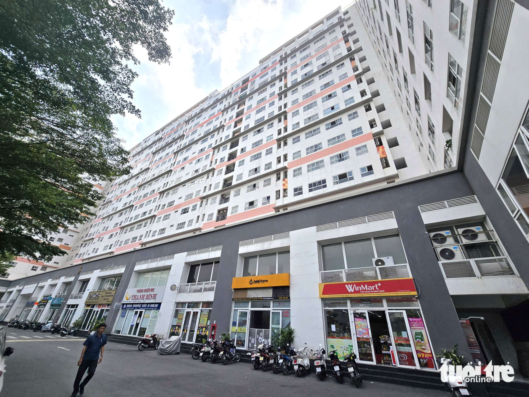 thi tuyển  - Ảnh 1.