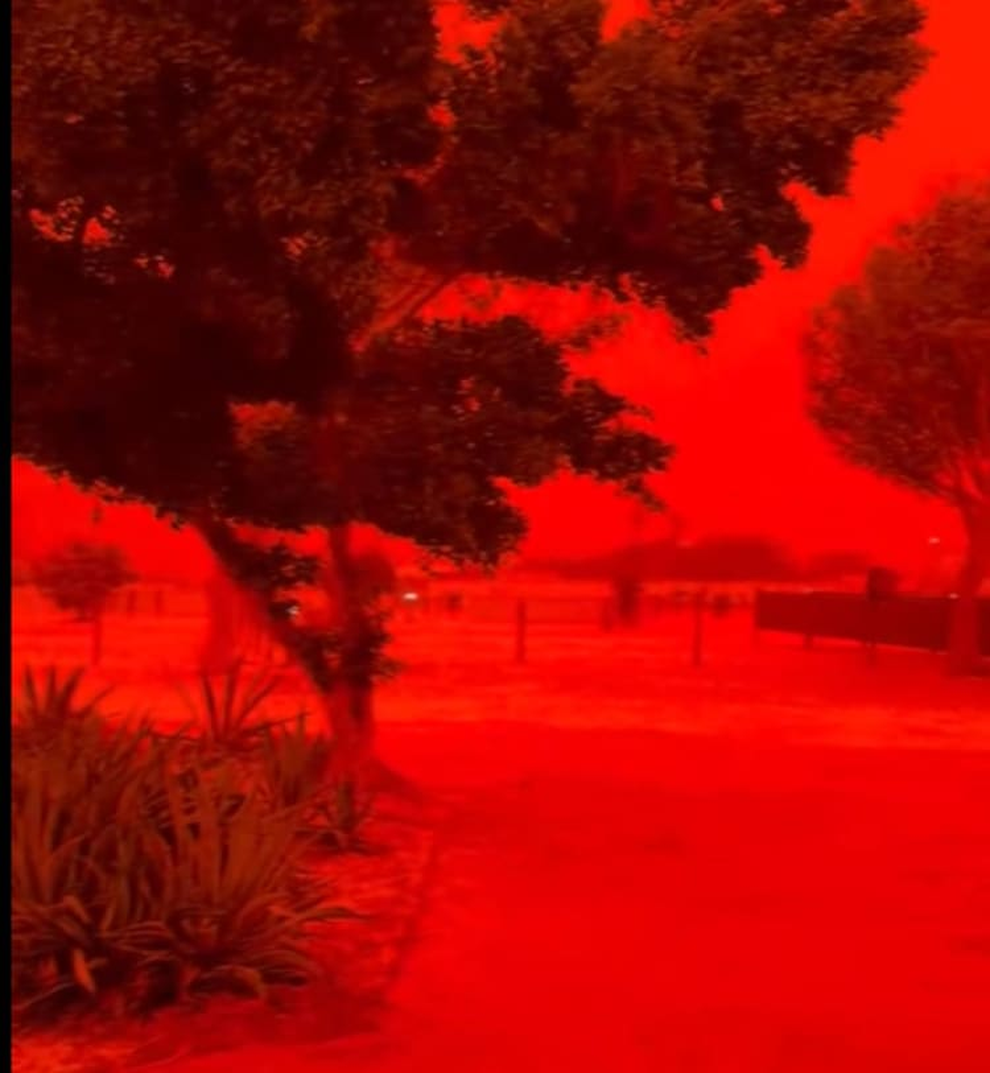 Bầu trời ở Australia đỏ sẫm do bão nhiệt đới cuốn bụi sa mạc - 1