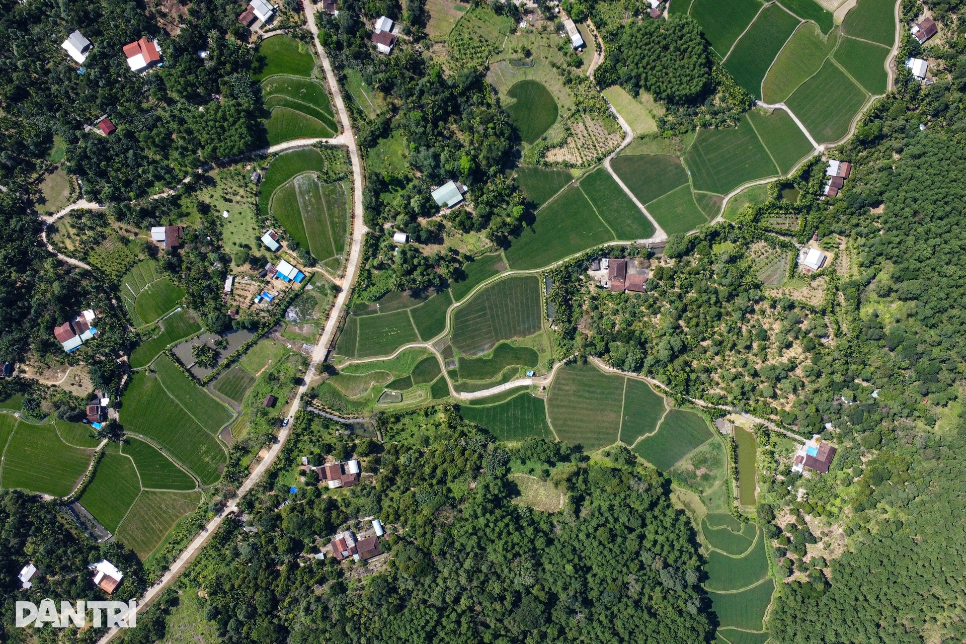 Bí ẩn chiếc bàn tự xoay trong ngôi nhà cổ bằng gỗ hơn 150 năm tuổi - 1