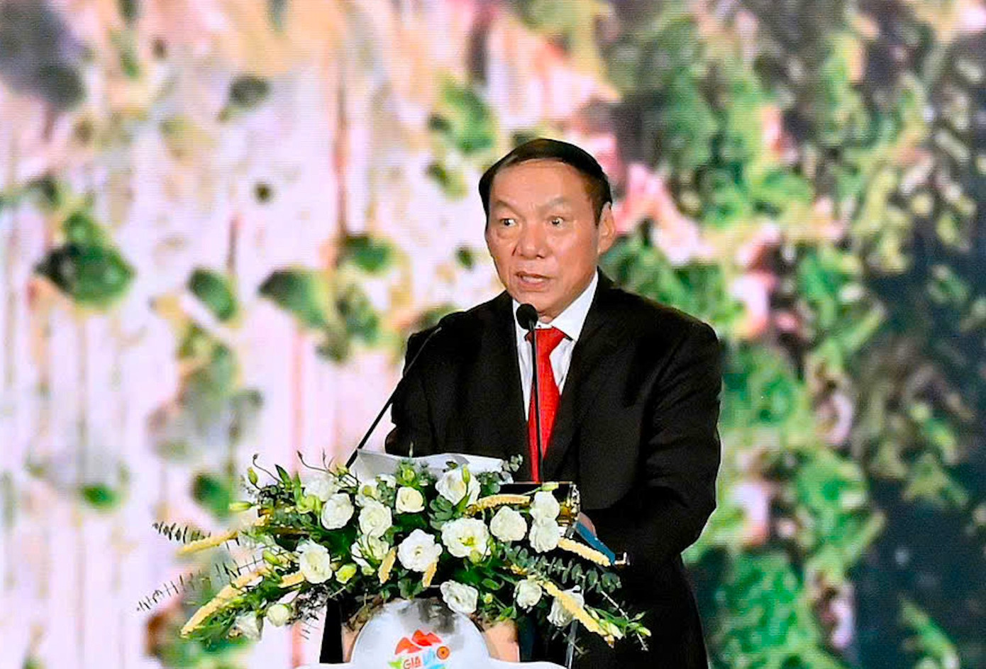 'Biển người' xem khai mạc năm du lịch quốc gia- Ảnh 1.