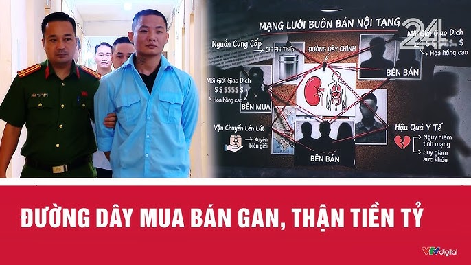 Phát hiện đường dây môi giới nội tạng hoạt động trên mạng: Bộ Y tế có động thái- Ảnh 1.