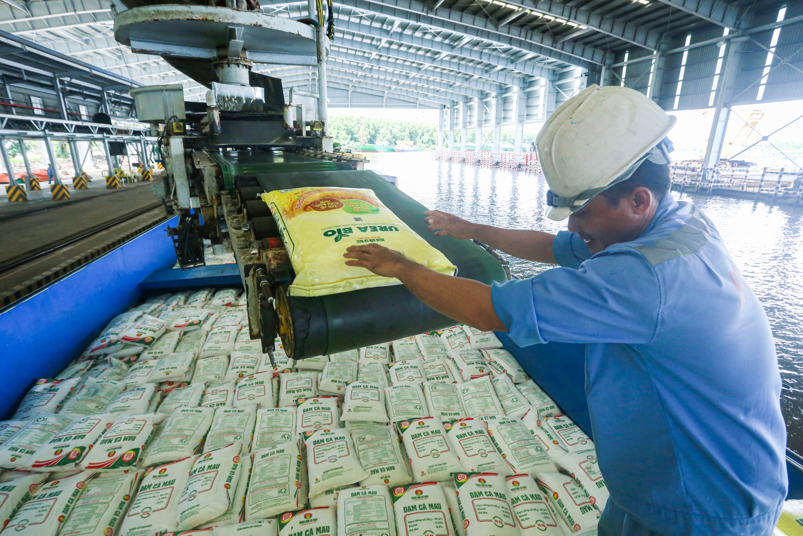 Bộ trưởng Trần Đức Thắng kêu gọi doanh nghiệp giảm giá phân bón, thức ăn chăn nuôi 1 Bộ trưởng Trần Đức Thắng kêu gọi doanh nghiệp giảm giá phân bón, thức ăn chăn nuôi - Ảnh 1.