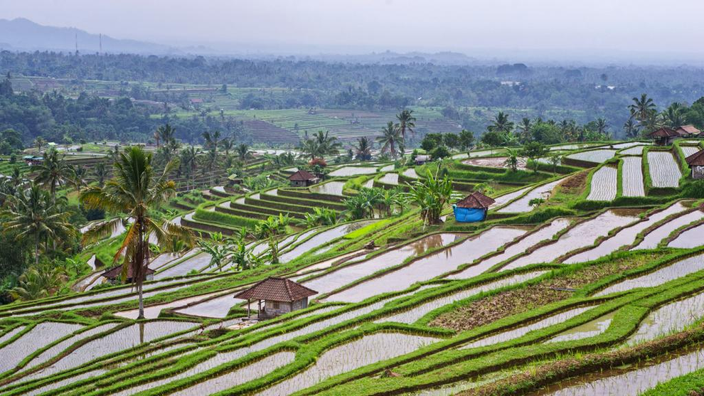 Bức ảnh vô tình lộ thông tin khiến con trai ông trùm Ukraine bị sát hại? - 1