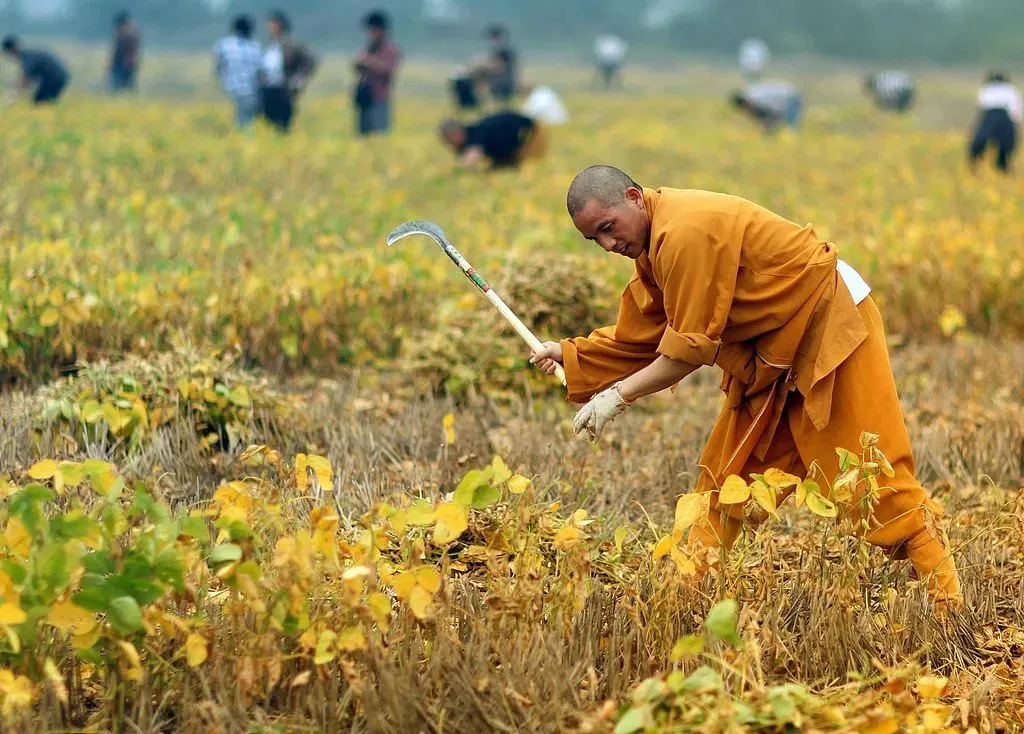 Thiếu Lâm - Ảnh 1.