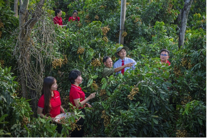 Một mô hình nông nghiệp xanh có sử dụng nguồn vốn của Agribank. Ảnh: Agribank