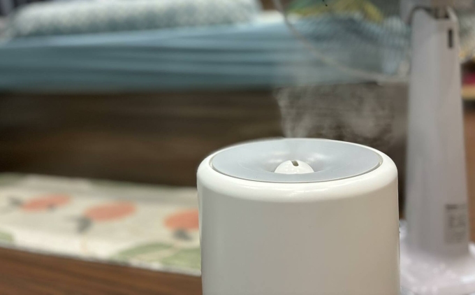 Máy tạo hơi nước cung cấp độ ẩm cho không khí. Ảnh: Anh Chi