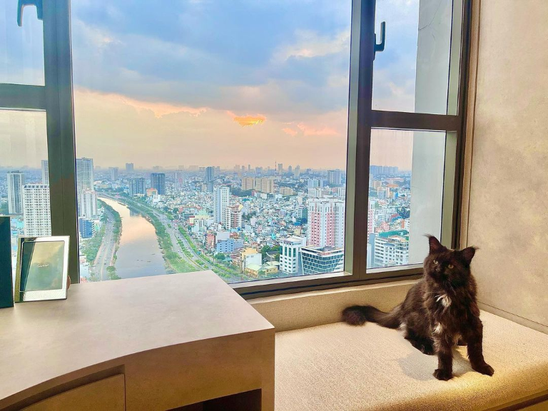 Cận cảnh căn hộ của Trấn Thành - Hari Won: Ngắm trọn thành phố từ view ban công, riêng tiền nội thất ngốn 5 tỷ- Ảnh 2.