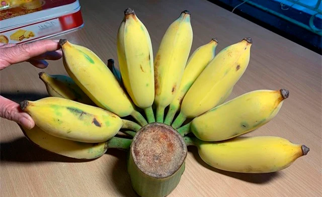 Cảnh báo đặc biệt tới các gia đình đang bày chuối ngày Tết- Ảnh 3.