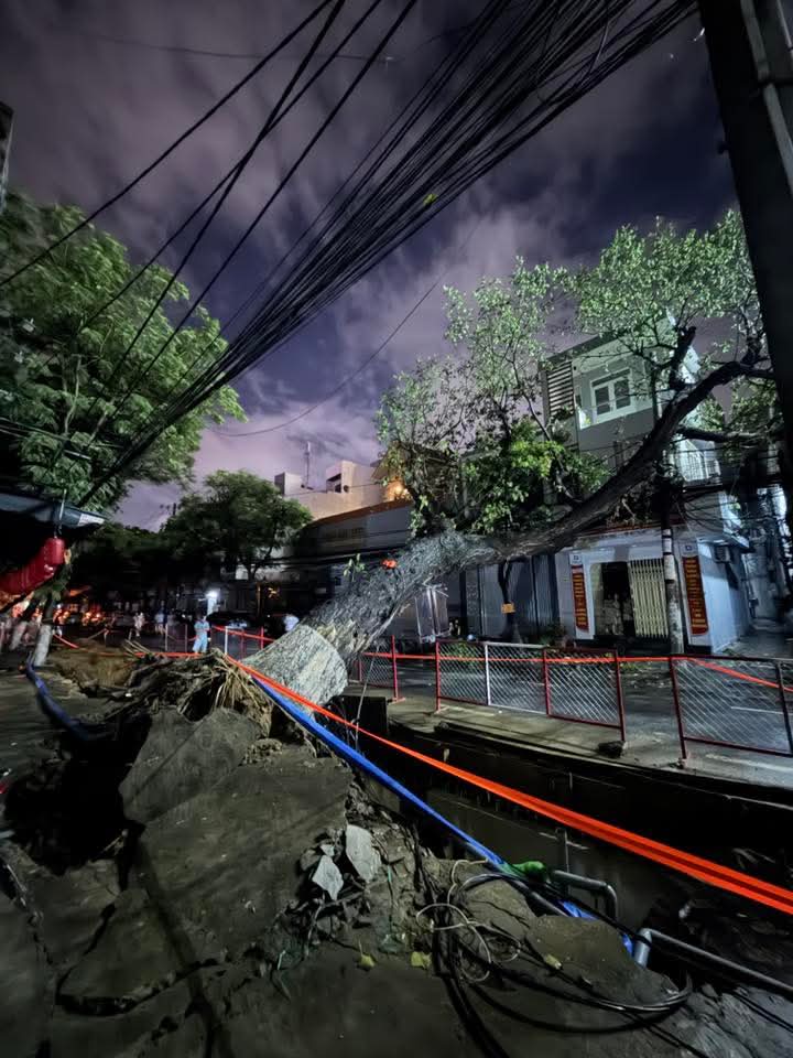 Cây cổ thụ bật gốc đè nhà dân, lo ngại do đào đường thi công dự án- Ảnh 1.