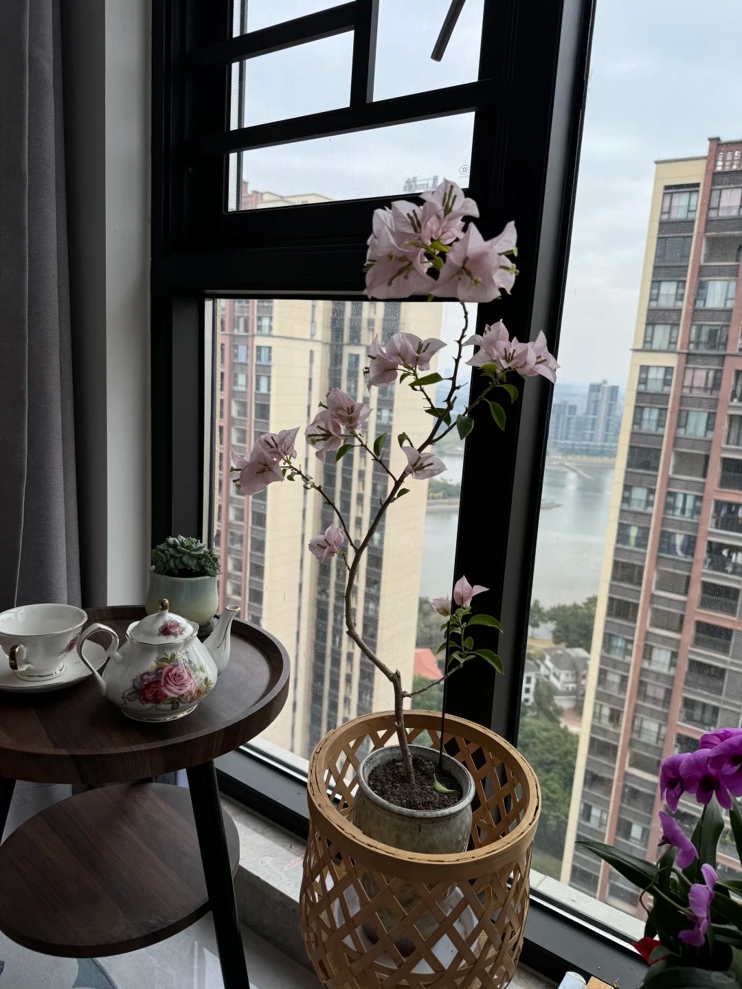 Giải mã cơn sốt chưng hoa giấy bonsai mini: Cây đong đầy năng lượng dương giúp xua tà khí, nhà chật mấy cũng rước được vượng khí vào nhà- Ảnh 2.