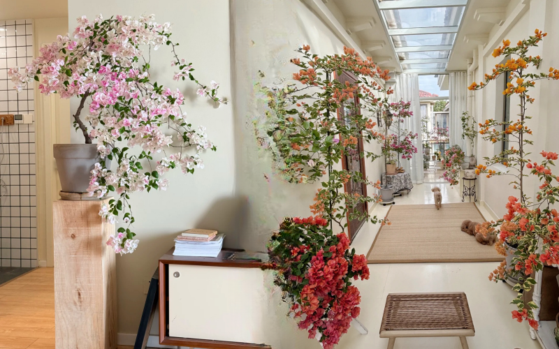 Giải mã cơn sốt chưng hoa giấy bonsai mini: Cây đong đầy năng lượng dương giúp xua tà khí, nhà chật mấy cũng rước được vượng khí vào nhà- Ảnh 1.