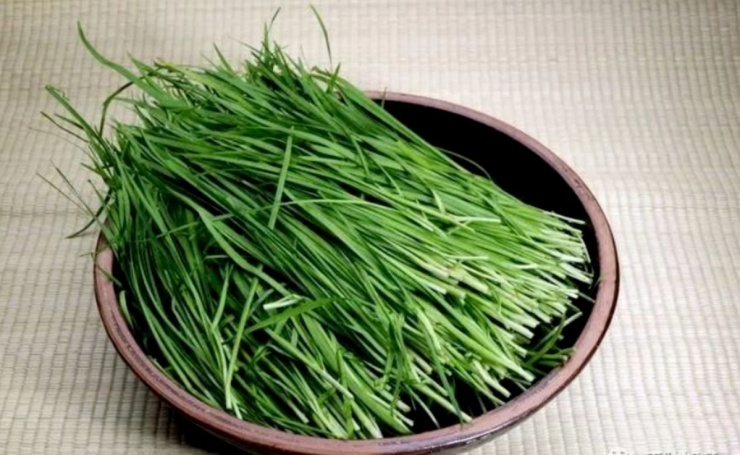  Lá hẹ không chỉ là một loại rau gia vị quen thuộc trong các món canh, món xào của người Việt mà còn được coi là một "vị thuốc tự nhiên" quý giá. (Ảnh minh họa). 