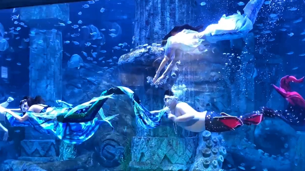 Chàng tiên cá hơn 100kg gây sốt Nha Trang, nói gì về thu nhập 3 tỷ đồng? - 1