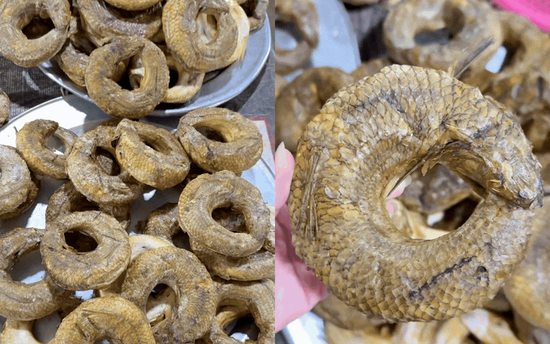 Loại đặc sản ở Nghệ An hồi xưa chỉ nhà giàu hoặc bà đẻ mới được ăn: Chỉ khoảng 200k/kg mà nay được thực khách muôn phương mê mẩn- Ảnh 1.