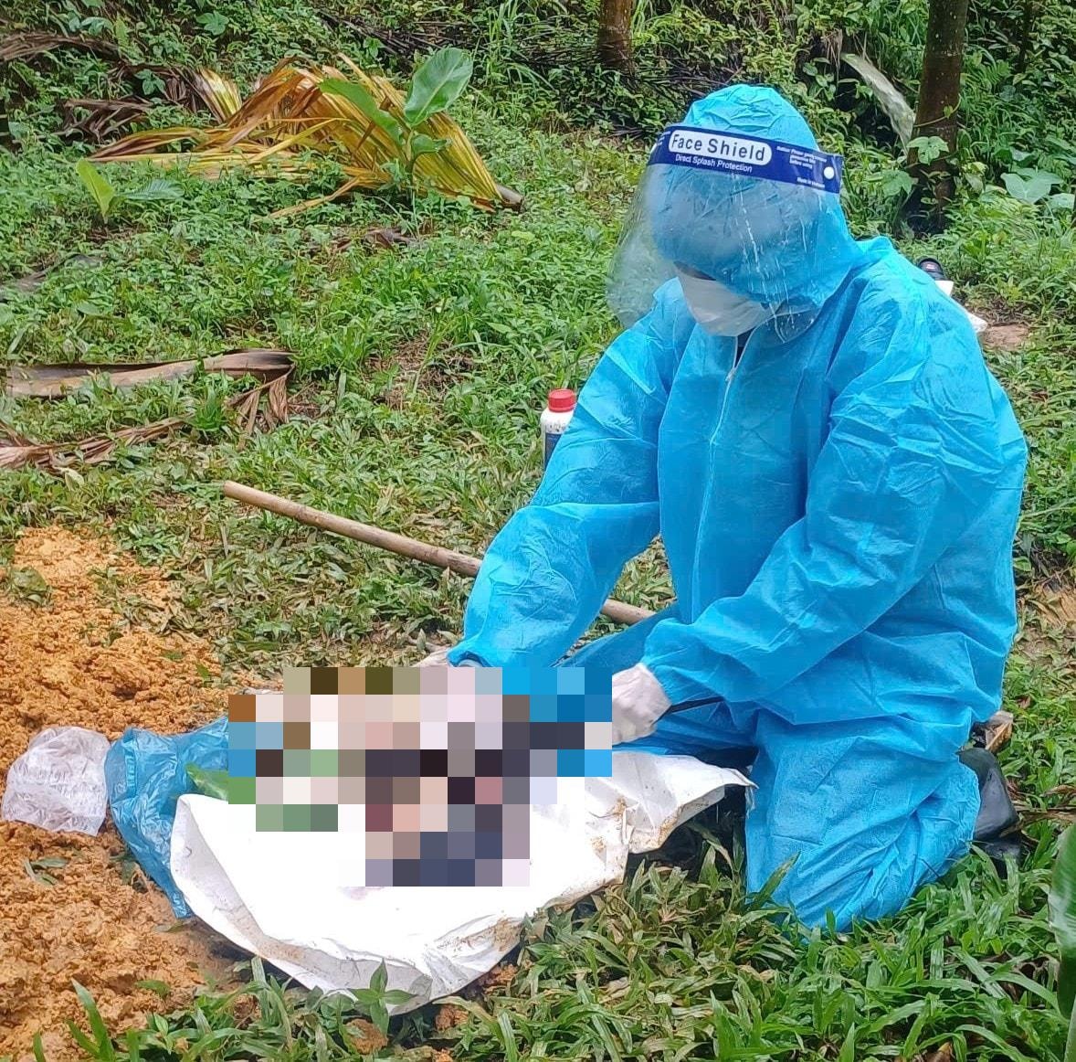 bệnh dại - Ảnh 2.