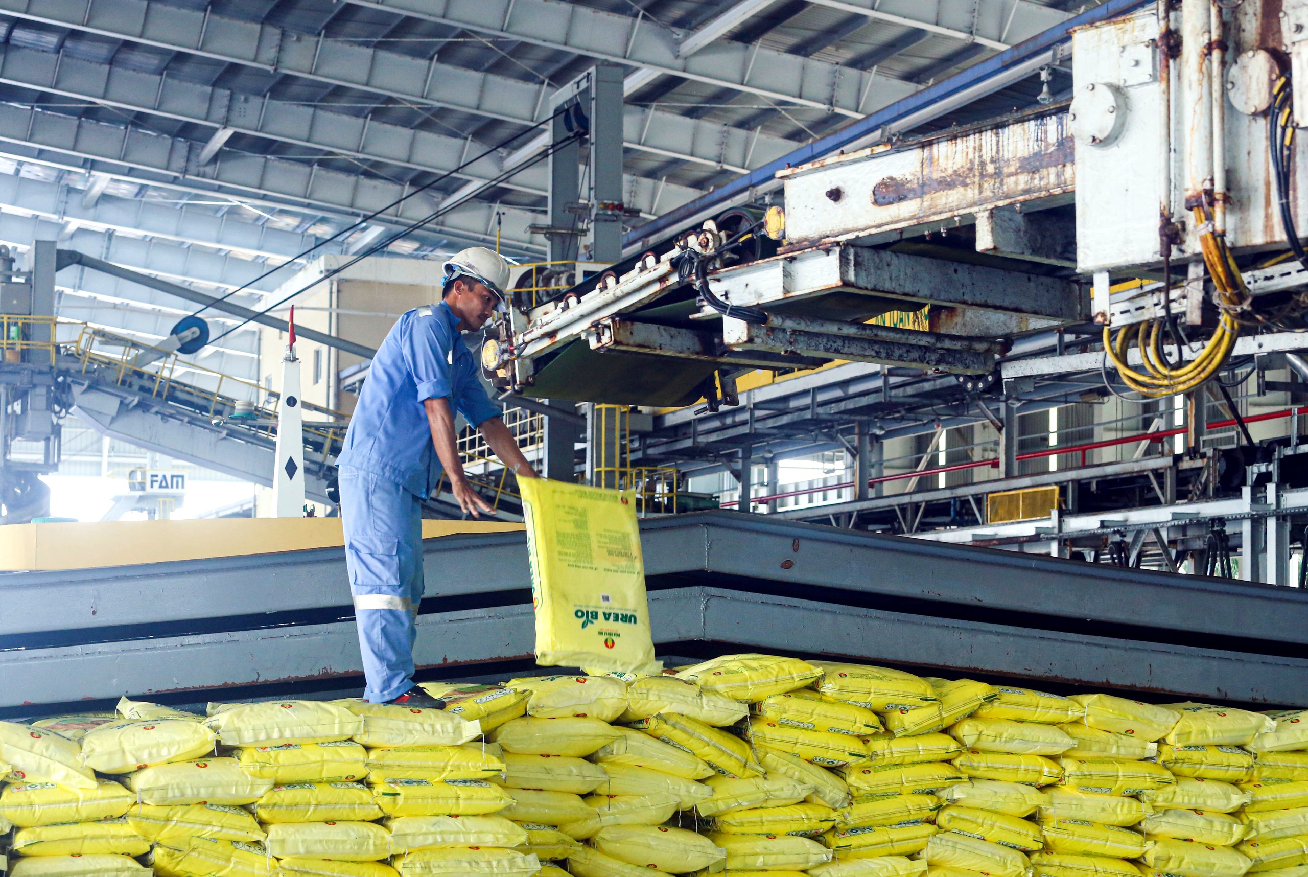 phân bón - Ảnh 1.